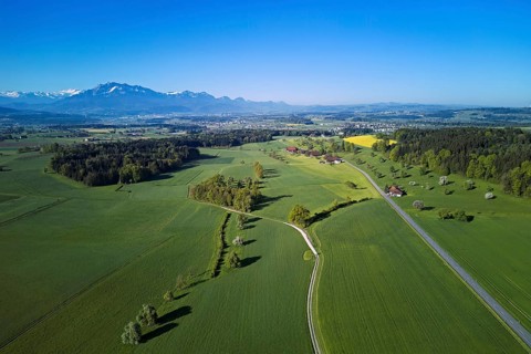Blooming trees, fields and meadows, in the background the snow-covered Alps with Mount Pilatus,