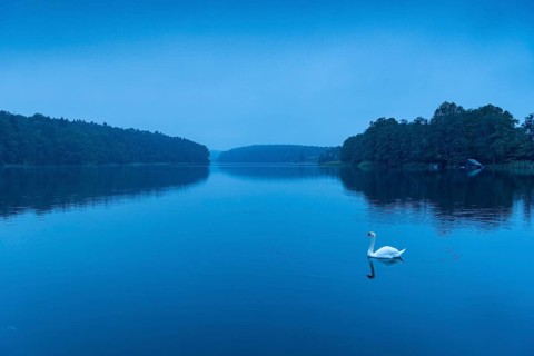 Dawn at blue hour at the lake, Schmalen Luzin, Feldberger Seenlandschaft, Mecklenburg-Western
