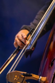 Hand of a musician playing cello, focus on strings and bows, Calwer Klostersommer Festival, Hirsau