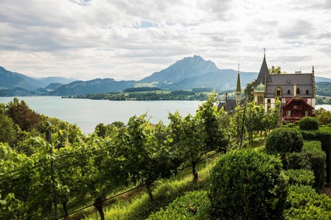 Picturesque castle with vineyard on a lake in the mountains, Meggenhorn Castle, Meggen, Lake