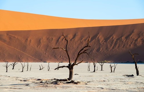 Dead trees in front of red sand dunes, atmospheric white salt pan Dead Vlei, Sossusvlei, Namib,