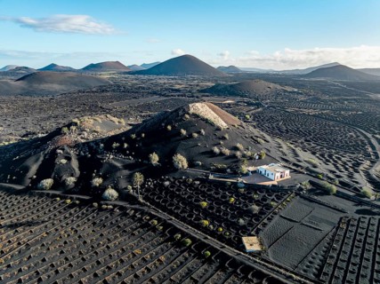 Typical drywall viticulture in volcanic landscape, on volcanic ash, lapilli, aerial view, vines, La