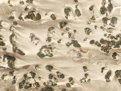 Sand hummocks caused by dwarf shrubs. Aerial view. Drone shot. Namib Desert, Skeleton Coast,