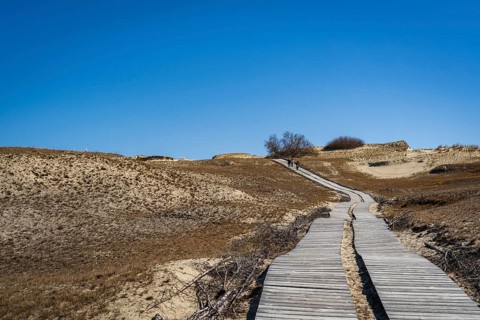 Wooden footpath on the Dead Dunes, or Grey Dunes, Curonian Spit, Neringa, Lithuania, A wooden