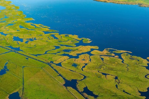 Aerial view of the landscape on the Großer Kirr in the Vorpommersche Boddenlandschaft National
