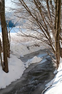 Greiz, Thuringia, Triebitzbach, Bach, Brook, ice, rivers, high size, vertical format, ice,