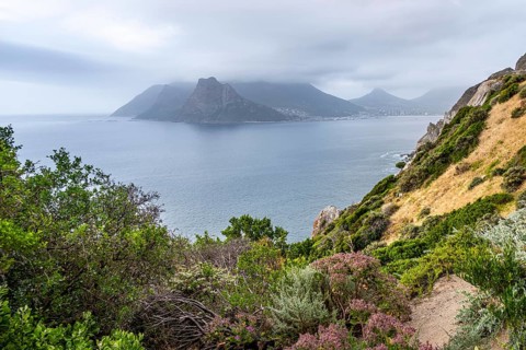 Hout Bay and Chapman's Peak Drive, coast near Cape Town, South Africa