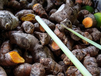 Fresh turmeric root on the market, close-up view, Close-up of turmeric roots with earthy texture