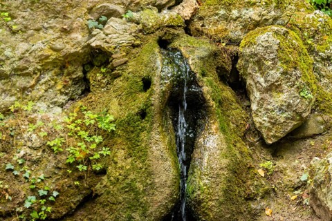 The park cave is an underground tunnel system in Park an der Ilm, which was originally built at the
