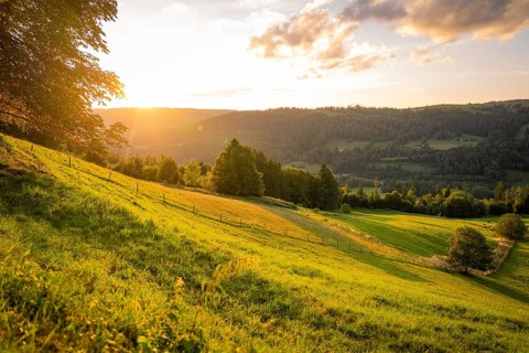 Hilly landscape with vast meadows in the warmth of sunset, Oberstaufen region, Allgäu, Bavaria,
