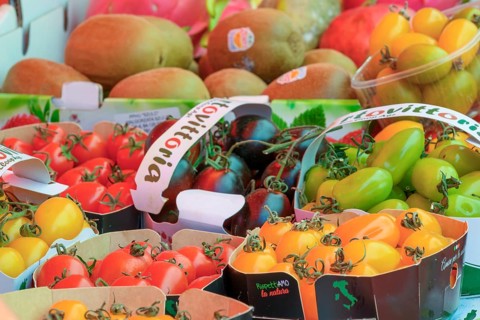 Fresh tomatoes at the outdoor central market in the old town, Trogir, Croatia