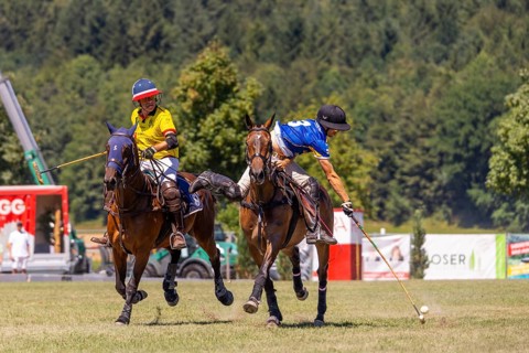 Polo player, polo horse, polo pony (Equus), rider, polo tournament, 1295 Polo Masters, Sylvenstal,