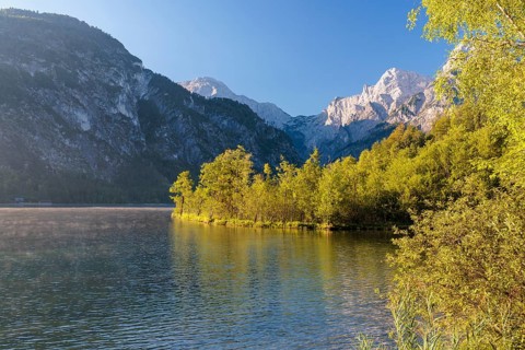 The tree-covered floating island in Lake Almsee bathed in the early morning light. Austria