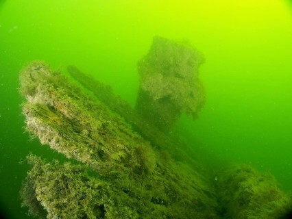 Algae-covered part of a wreck surrounded by green water and quiet atmosphere, wreck Margareta af