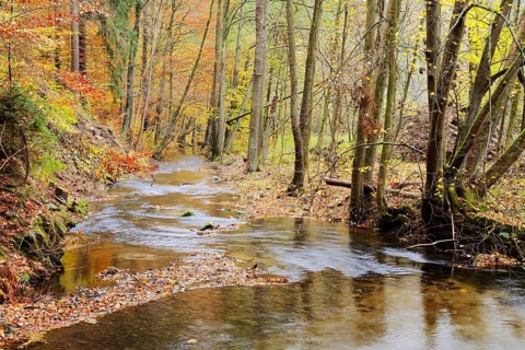 Kirnitzsch river course in autumn, Kirnitzschtal, Saxon Switzerland, Elbe Sandstone Mountains,