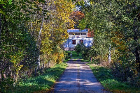Tree-Lined country road leading to a house in a deciduous forest with autumn colours, Sweden