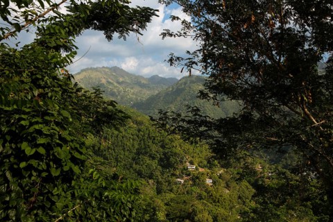 Densely overgrown hills in Blue and John Crow Montains National Park, Portland Parish, Saint Mary