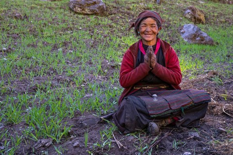 Portrait, elderly friendly smiling Nepalese woman, local of the Tsumba Tibetan ethnic group folding