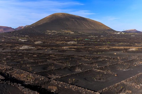 Lanzarote, Canary Islands, Spain, Europe, wine fields in La Geria, dark volcanic landscape with