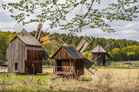 Historic traditional windmills in the ASTRA Museum of Traditional Folk Culture in Sibiu or Sibiu,