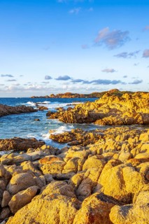 Landscape of the coastline with blue water at Marinedda Coast at sunset, Sardinia, Italy