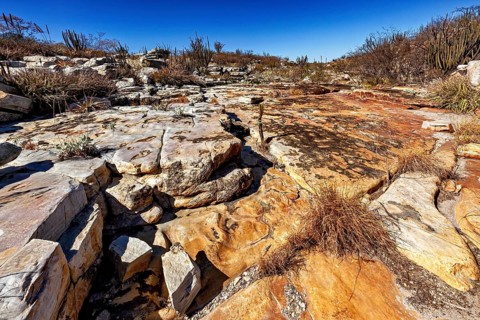 Rocky, low-vegetation desert with flat weathering and clear skies, the thornshrub savanna in the