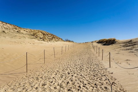 The Gray Dunes, or the Dead Dunes is sandy hills with a bit of green specks at the Lithuanian side