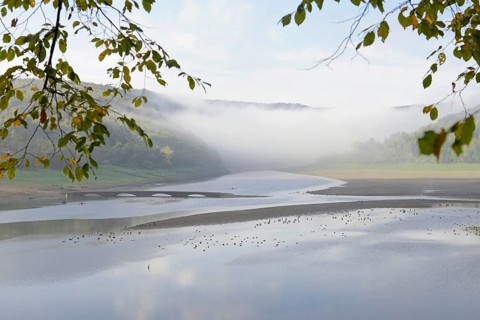 Edersee, view of the old Aseler Eder bridge at low tide, rising fog, autumn, Eder dam, Hesse,