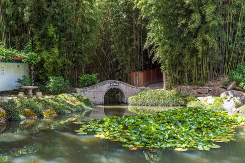 The Chinese Scholars' Garden, one of the enclosed gardens at Hamilton Gardens, Waikato, New Zealand