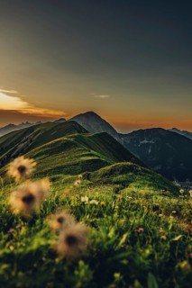 Hiking tour on the Hönig mountain in the Lechtal valley near Berwang in Tyrol, Austria