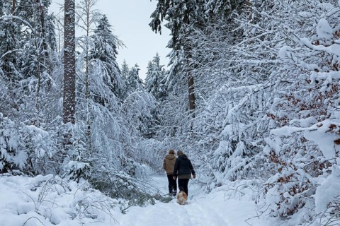 Two woman taking a walk with a dog through a snowy forest, winter, snow, Sieversen, Samtgemeinde