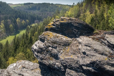 Germany, Greiz, Göltzschtal, Thuringia, Thuringia, spring, Köhlersteig, landscape, spring, Vogtland