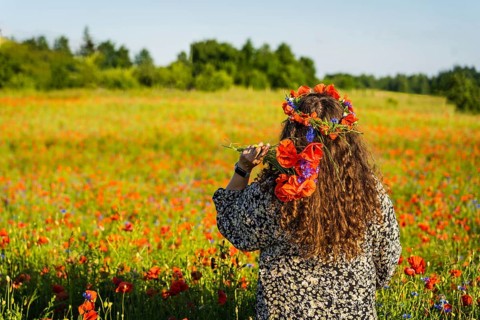 A long-haired curly woman plus size stands among a poppy meadow in a wreath of poppies (Papaver