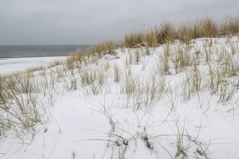Snow-covered dunes on the North Sea, Langeoog, Lower Saxony, Germany