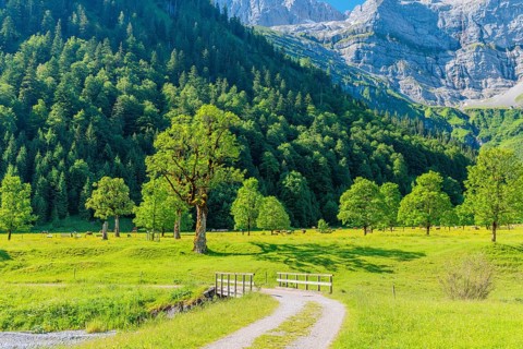 Hiking trail along Enger Grund Creek in the Grosser Ahornboden Nature Reserve on a sunny day. Eng