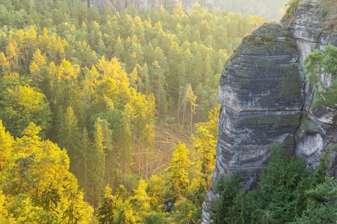 Sunrise on Basteifelsen, view of Wehlgrund, Rathen, Saxony, Germany