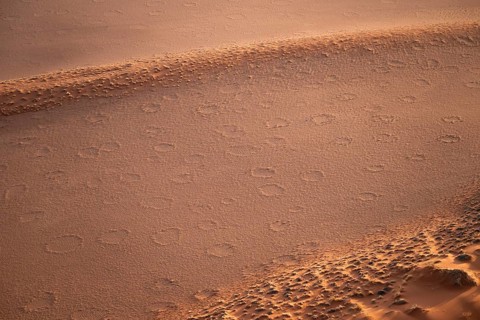 Sandy desert with Fairy Circles, circular areas, aerial view, Namib Desert, Namib Naukluft Park,