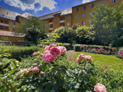 Yellow residential buildings, courtyard, borstei, heritage-protected residential development,