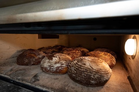 Several fresh rye breads in the oven baking with a slightly browned crust, baking bread,