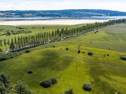 The 1, 300 meter long poplar alley on Reichenauer Damm connects the mainland near Constance with