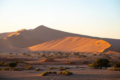Barren vegetation between red-yellow Namib sand dunes, Namib Desert, Namib-Naukluft National Park,