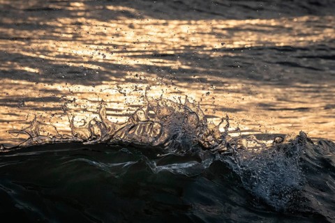 Detail, splashing seawater, breaking wave in evening light, Houvig Beach, North Sea, Denmark