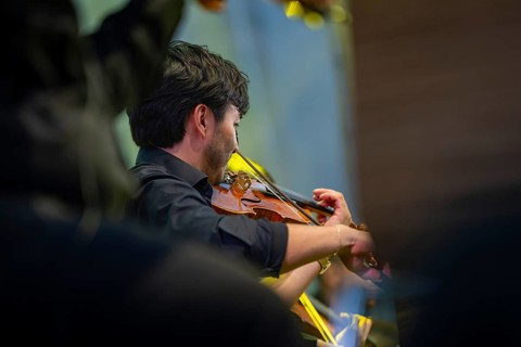 Musician playing the violin concentrated on a stage, deepened at the moment, Calwer Klostersommer