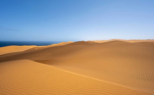 Sand dunes with wave patterns, dune sea, sandy desert, impressive desert landscape, Namib Naukluft