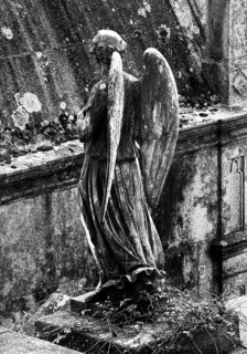 Cemitério da Lapa, Lapa Cemetery, European Cemetery Route, Association of Significant Cemeteries of