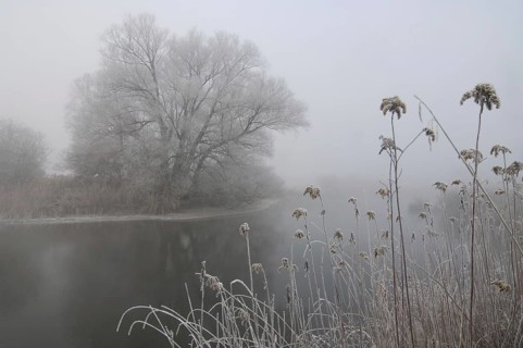 Hoarfrost on the Amper in Bavaria, Alpine foothills, hoarfrost, fog, winter, Ampermoos, Inning,