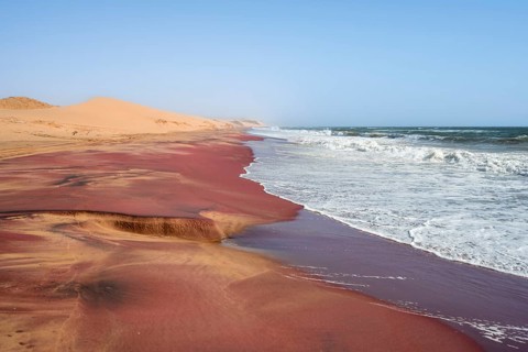 Sandy beach beach with pink sand, Atlantic coast in the Namib Desert, Sandwich Harbour, Namib