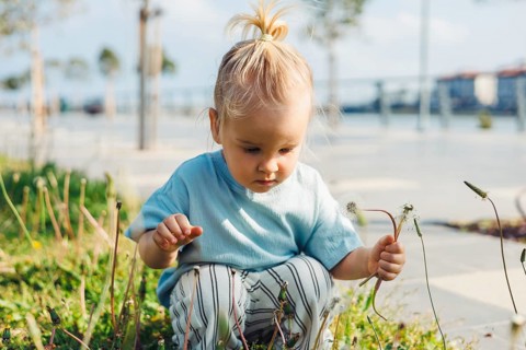 Young child girl with blonde hair sits on the grass in a park, carefully examining plants and