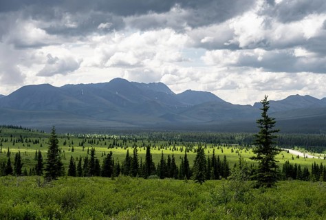 Taiga and tundra, mountain landscape of the Alaska Range with dramatic cloudy sky, Denali National