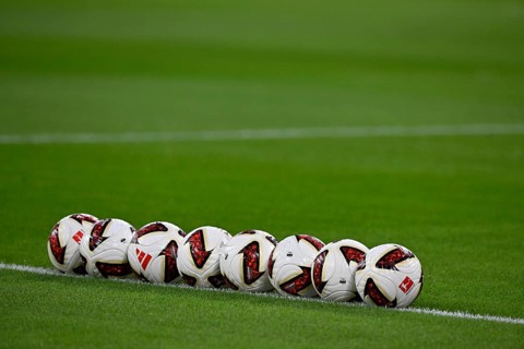 Adidas Torfabrik Pro Ball game ball, game balls are on grass, soccer, Bundesliga, Allianz Arena,